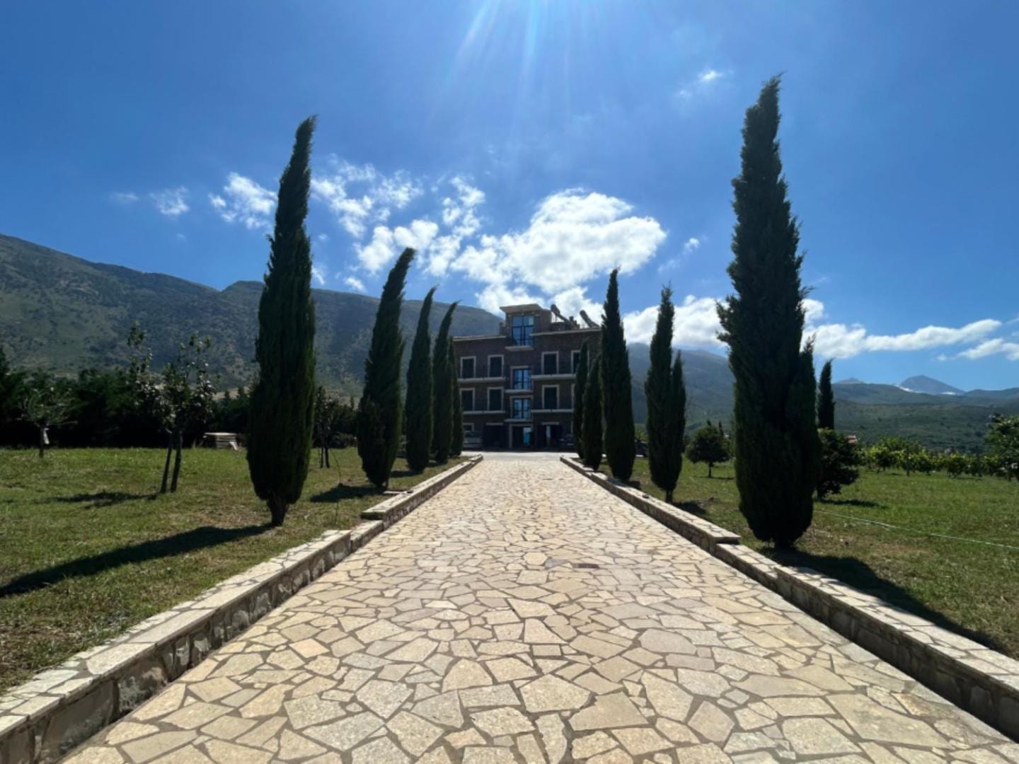 Vila Ami's garden terrace with olive trees and mountains